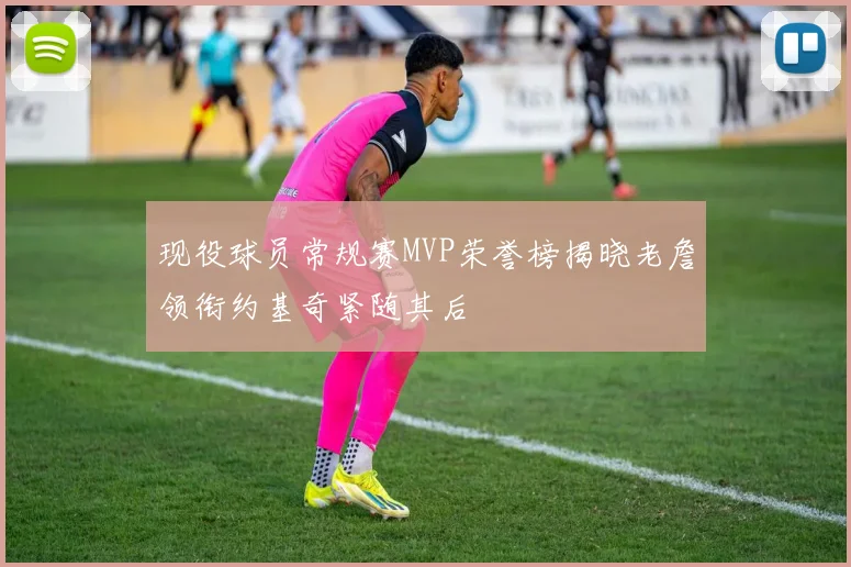 现役球员常规赛MVP荣誉榜揭晓老詹领衔约基奇紧随其后